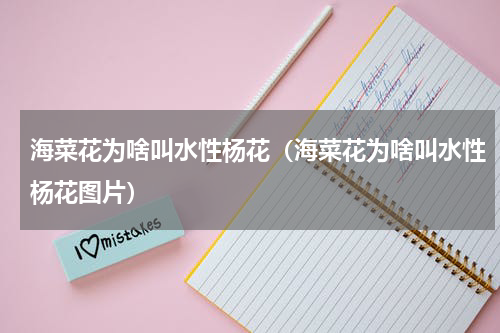 海菜花为啥叫水性杨花（海菜花为啥叫水性杨花图片）
