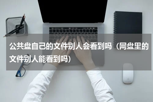 公共盘自己的文件别人会看到吗（网盘里的文件别人能看到吗）
