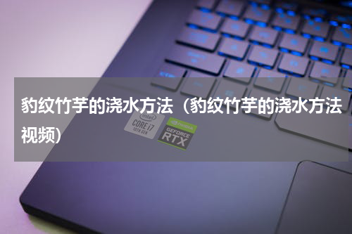 豹纹竹芋的浇水方法（豹纹竹芋的浇水方法视频）