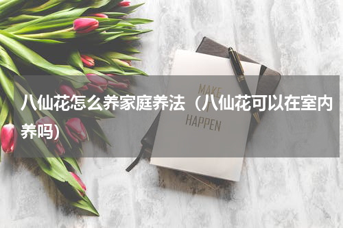 八仙花怎么养家庭养法（八仙花可以在室内养吗）
