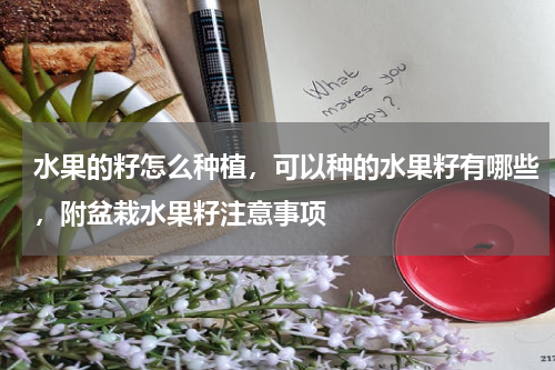 水果的籽怎么种植，可以种的水果籽有哪些，附盆栽水果籽注意事项