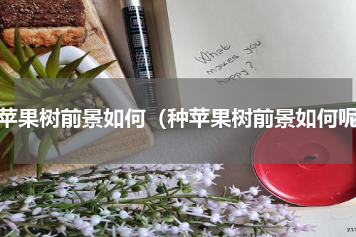种苹果树前景如何（种苹果树前景如何呢）
