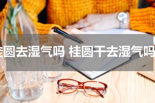 桂圆去湿气吗 桂圆干去湿气吗