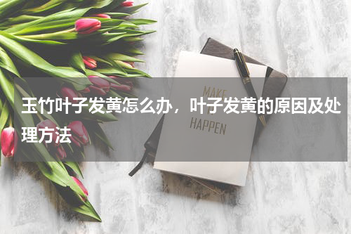 玉竹叶子发黄怎么办，叶子发黄的原因及处理方法