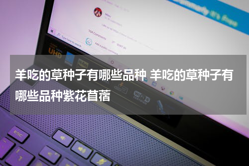 羊吃的草种子有哪些品种 羊吃的草种子有哪些品种紫花苜蓿