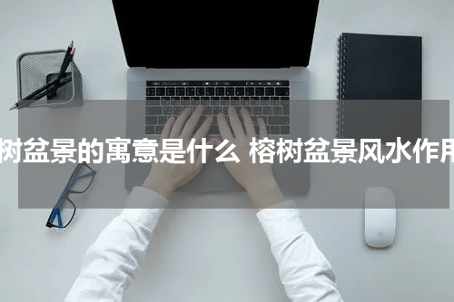 榕树盆景的寓意是什么 榕树盆景风水作用