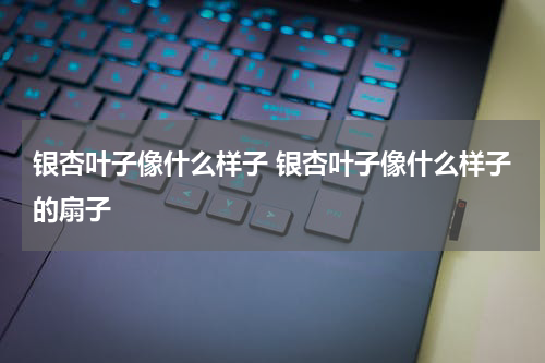 银杏叶子像什么样子 银杏叶子像什么样子的扇子