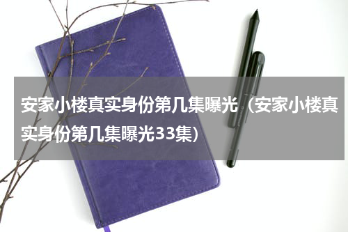 安家小楼真实身份第几集曝光（安家小楼真实身份第几集曝光33集）