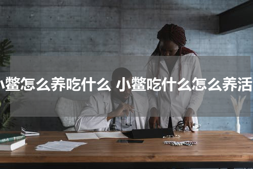 小鳖怎么养吃什么 小鳖吃什么怎么养活