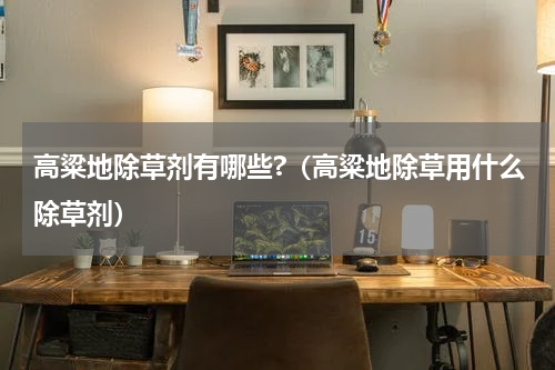 高粱地除草剂有哪些?（高粱地除草用什么除草剂）
