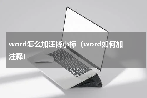 word怎么加注释小标（word如何加注释）