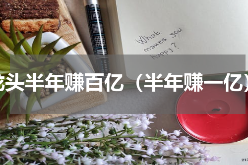 龙头半年赚百亿（半年赚一亿）