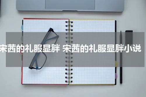 宋茜的礼服显胖 宋茜的礼服显胖小说