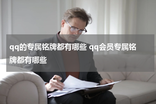qq的专属铭牌都有哪些 qq会员专属铭牌都有哪些