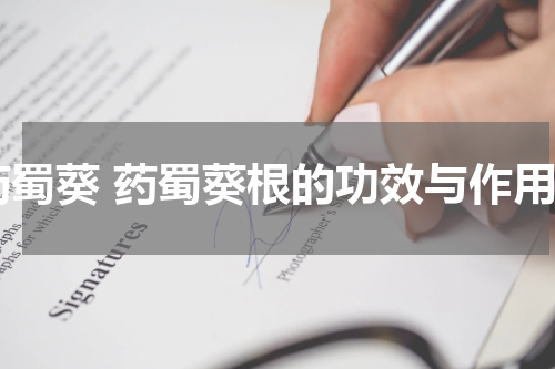 药蜀葵 药蜀葵根的功效与作用