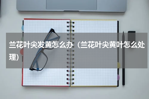 兰花叶尖发黄怎么办（兰花叶尖黄叶怎么处理）