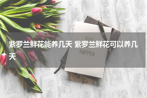 紫罗兰鲜花能养几天 紫罗兰鲜花可以养几天