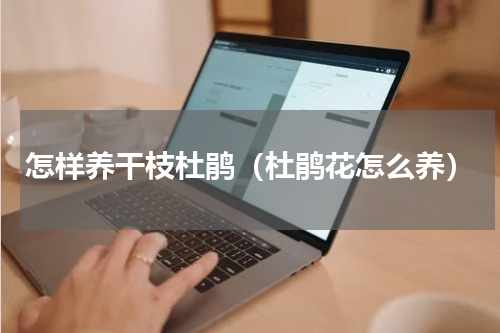 怎样养干枝杜鹃（杜鹃花怎么养）