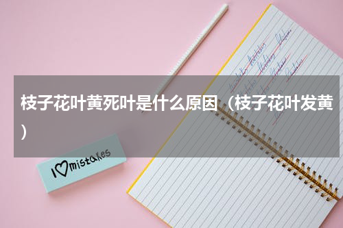 枝子花叶黄死叶是什么原因（枝子花叶发黄）