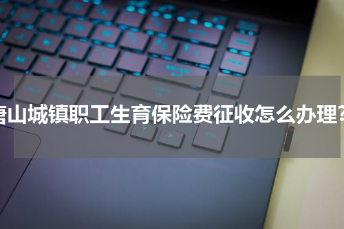 唐山城镇职工生育保险费征收怎么办理？