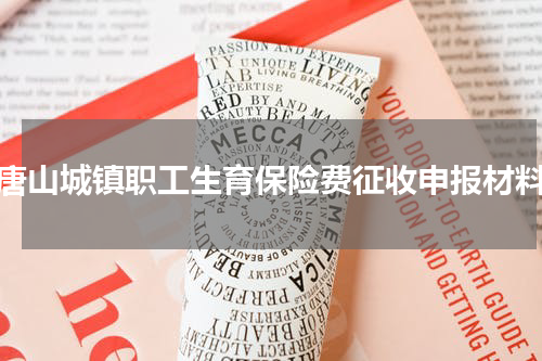 唐山城镇职工生育保险费征收申报材料