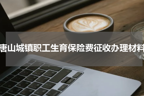 唐山城镇职工生育保险费征收办理材料