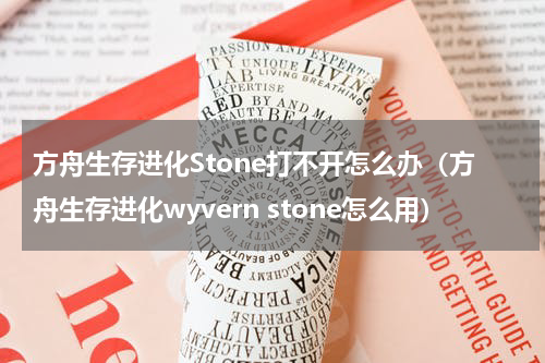 方舟生存进化Stone打不开怎么办（方舟生存进化wyvern stone怎么用）