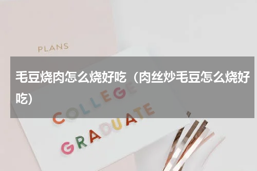 毛豆烧肉怎么烧好吃（肉丝炒毛豆怎么烧好吃）