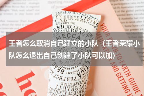 王者怎么取消自己建立的小队（王者荣耀小队怎么退出自己创建了小队可以加）