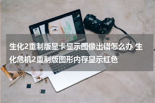 生化2重制版显卡显示图像出错怎么办 生化危机2重制版图形内存显示红色