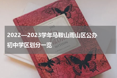2022—2023学年马鞍山雨山区公办初中学区划分一览