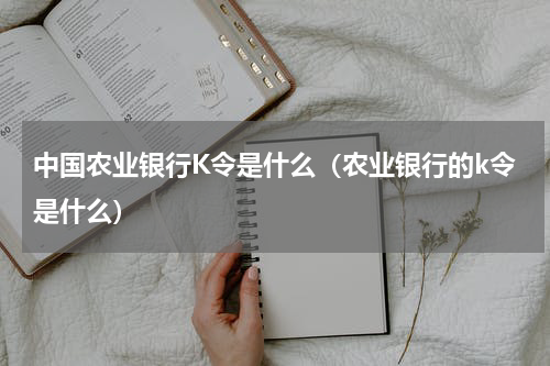 中国农业银行K令是什么（农业银行的k令是什么）