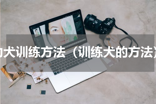 幼犬训练方法（训练犬的方法）