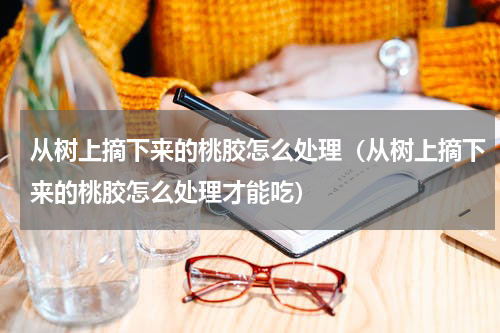 从树上摘下来的桃胶怎么处理（从树上摘下来的桃胶怎么处理才能吃）