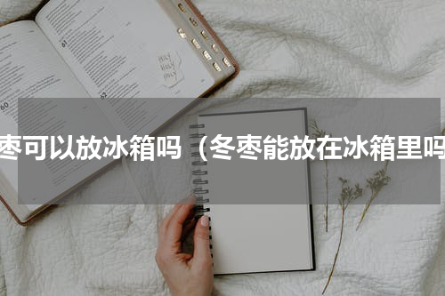 冬枣可以放冰箱吗（冬枣能放在冰箱里吗）