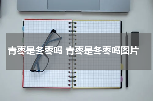 青枣是冬枣吗 青枣是冬枣吗图片