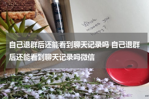 自己退群后还能看到聊天记录吗 自己退群后还能看到聊天记录吗微信