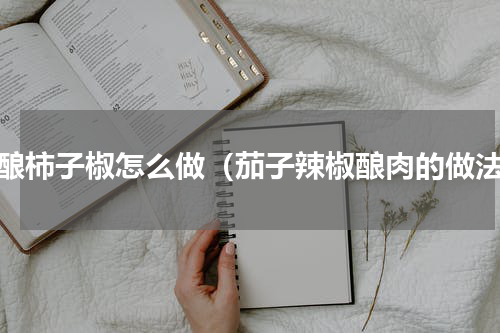 肉酿柿子椒怎么做（茄子辣椒酿肉的做法）
