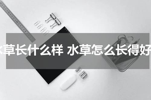 水草长什么样 水草怎么长得好