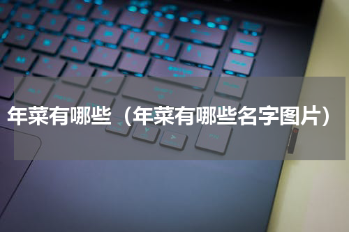 年菜有哪些（年菜有哪些名字图片）