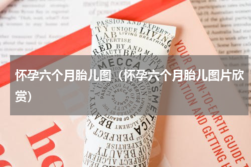 怀孕六个月胎儿图（怀孕六个月胎儿图片欣赏）