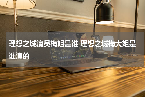 理想之城演员梅姐是谁 理想之城梅大姐是谁演的