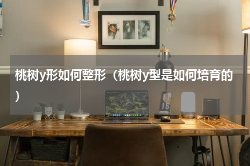 桃树y形如何整形（桃树y型是如何培育的）