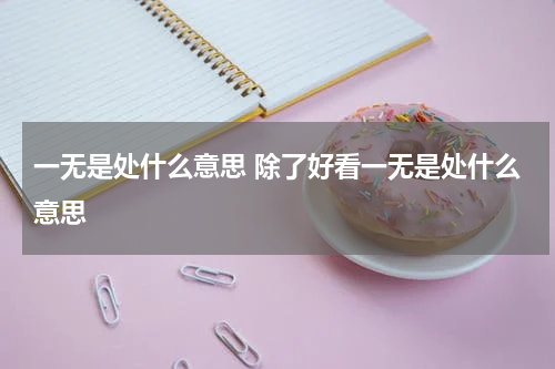 一无是处什么意思 除了好看一无是处什么意思