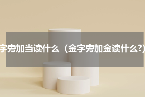 金字旁加当读什么（金字旁加金读什么?）