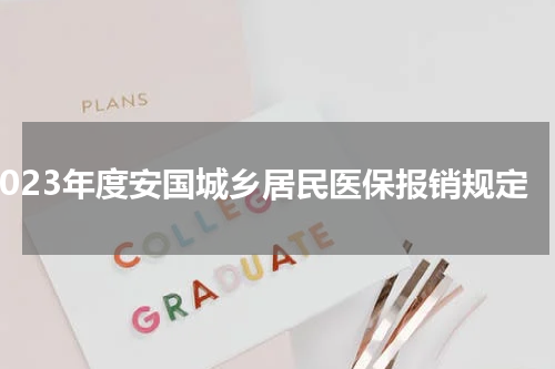 2023年度安国城乡居民医保报销规定