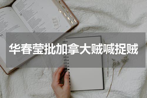 华春莹批加拿大贼喊捉贼