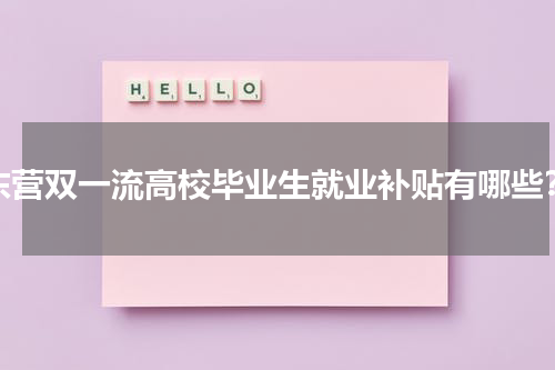 东营双一流高校毕业生就业补贴有哪些？