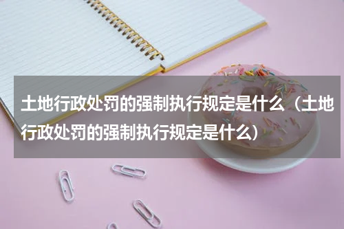 土地行政处罚的强制执行规定是什么（土地行政处罚的强制执行规定是什么）