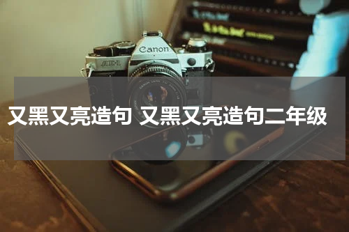又黑又亮造句 又黑又亮造句二年级